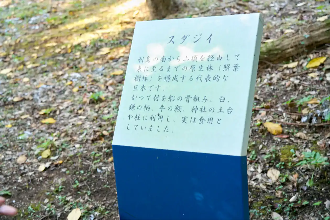 集水シート跡の看板