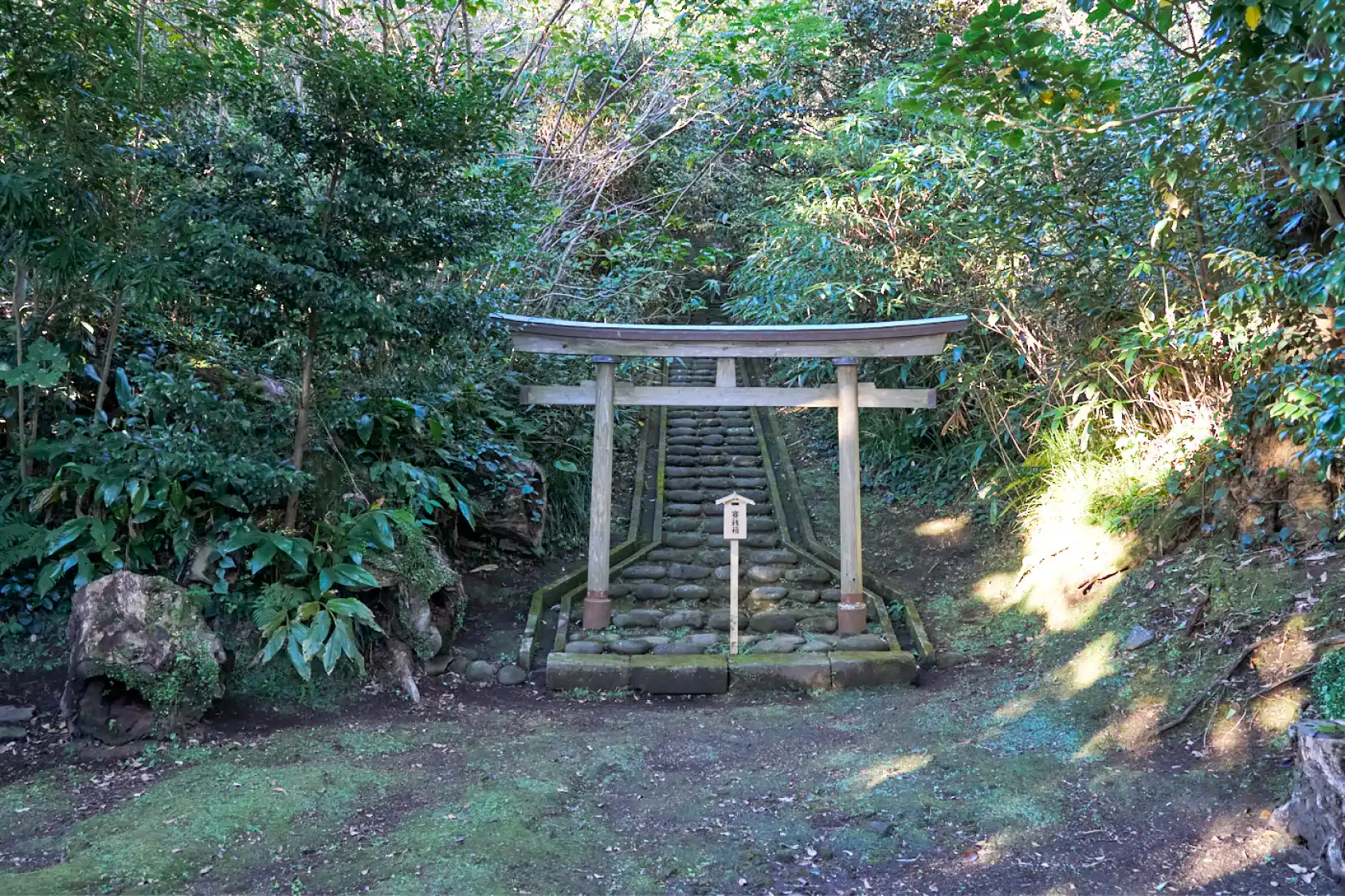 阿豆佐和気命神社本宮の写真
