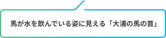 馬が水を飲んでいる姿に見える「大浦の馬の首」
