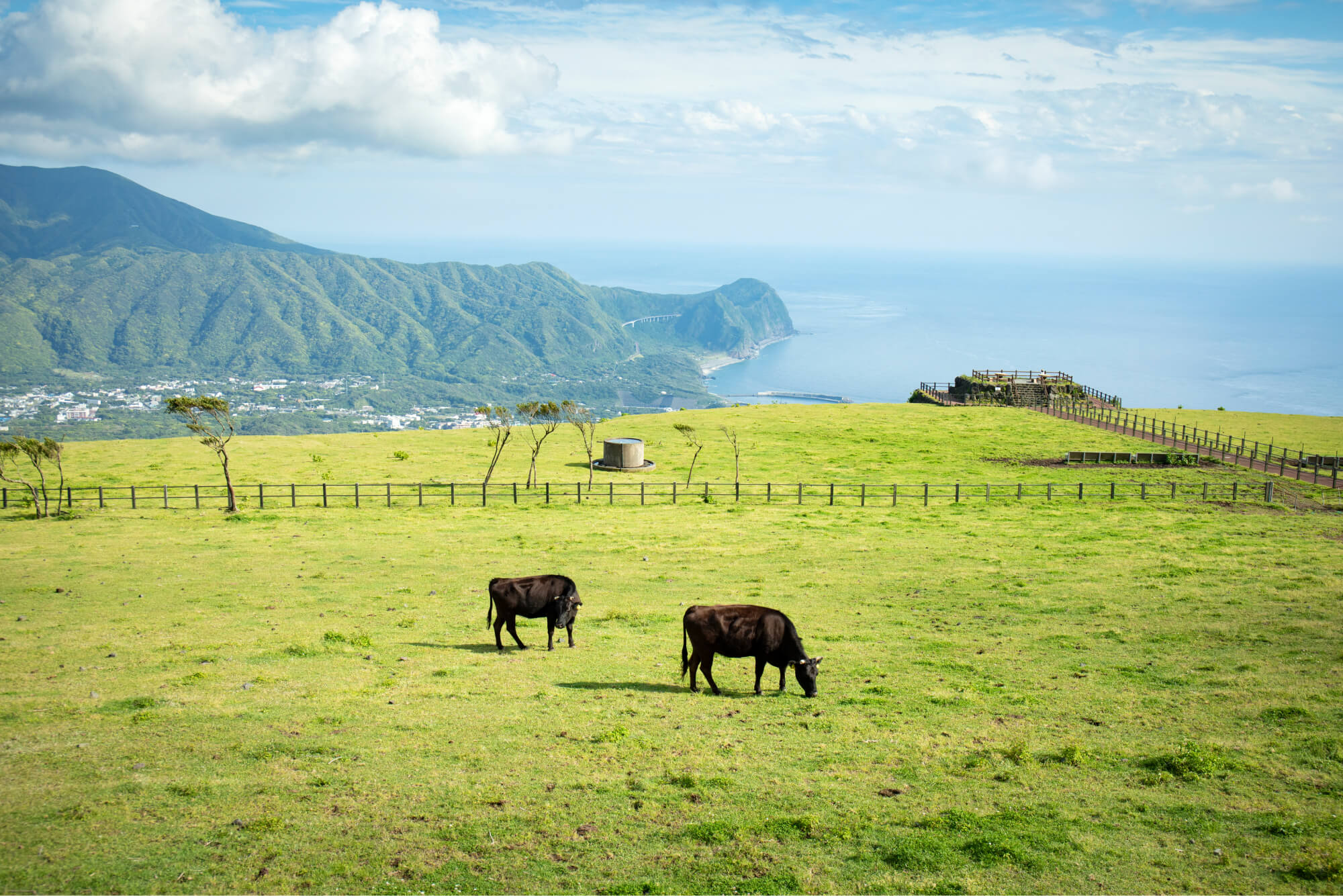 ふれあい牧場の風景