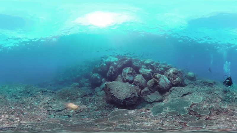 SHIMA 360°BIRD VIEW