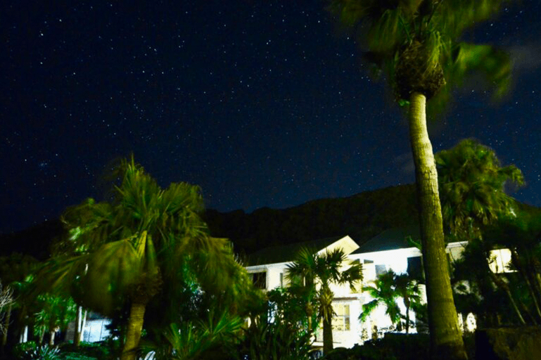 夜は星空観察を。