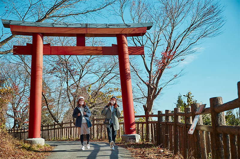 参道の入り口を抜けると、すぐに鳥居が見えます。