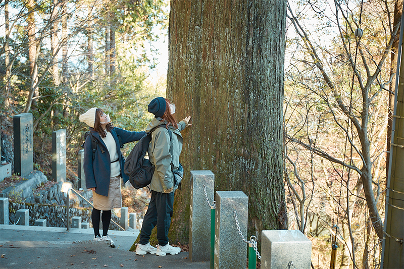 樹齢400年の御神木は迫力満点！