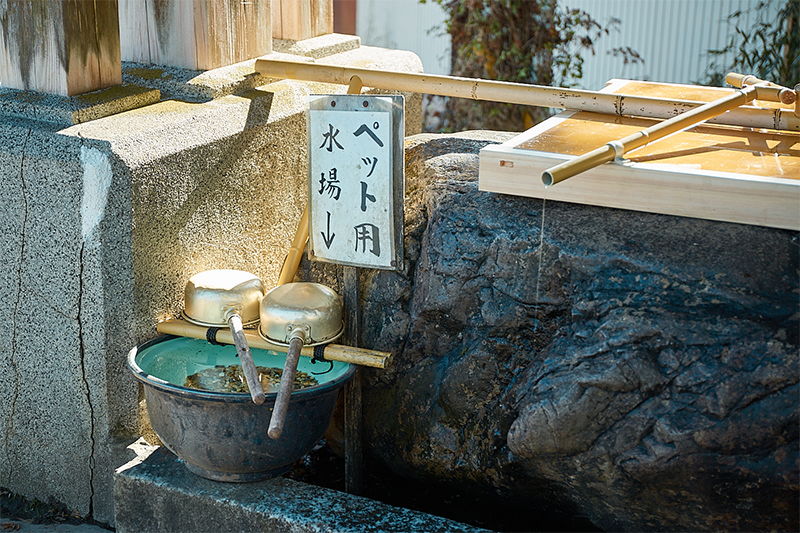 手水舎には、かわいらしいペット専用の水場が。